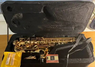 Altový saxofon Roy Benson AS-202