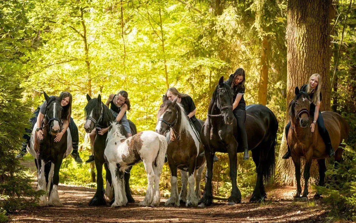 Vyjížďky i členství v JK Lucky ranch