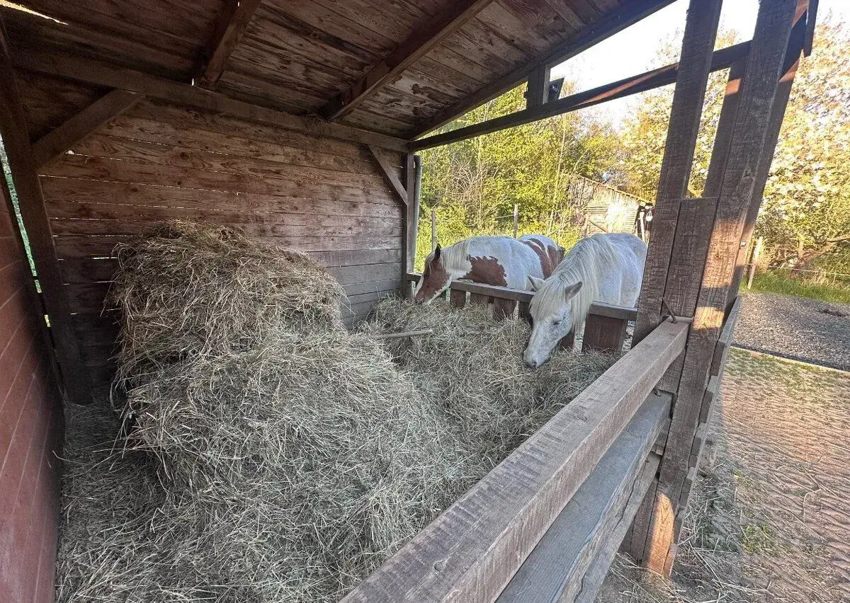 Pronajmu stáj v Úštěku