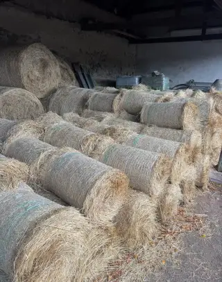 Balíky sena 15 kg