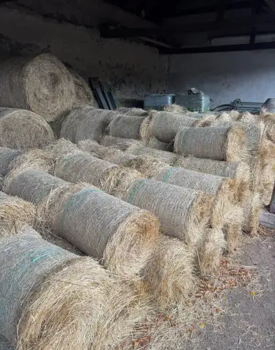 Balíky sena 15 kg