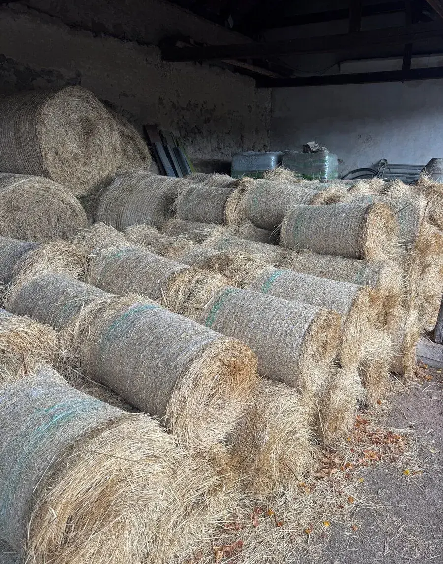 Balíky sena 15 kg
