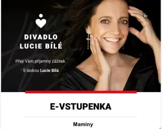 Divadlo Lucie Bílé: Maminy, Praha 31.10.2026