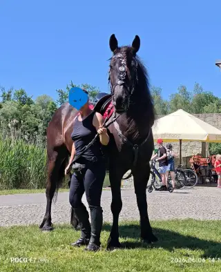 Nádherná klisna