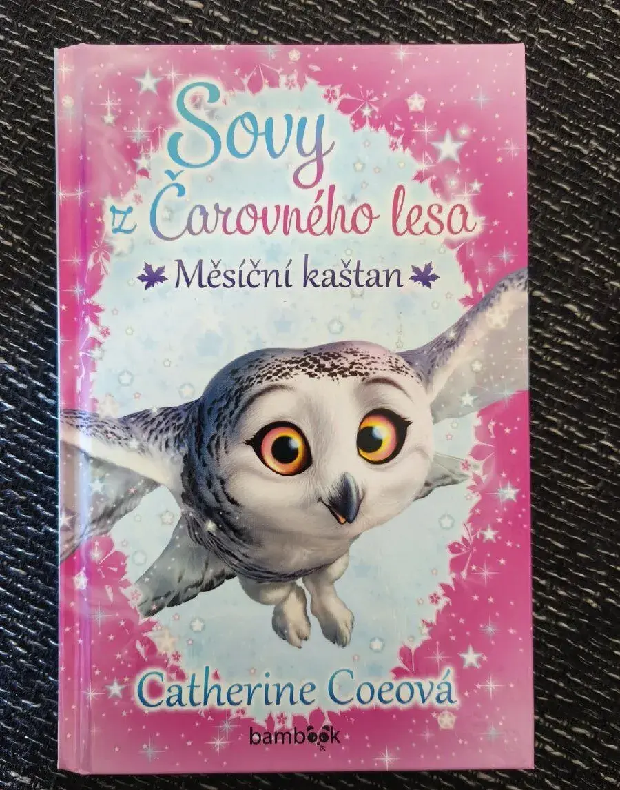 Kniha - Sovy z čarovného lesa