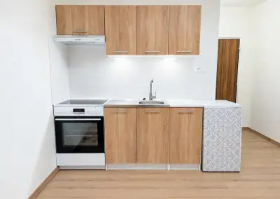 Pronájem bytu 1+kk, Čapkova 769, Chodov