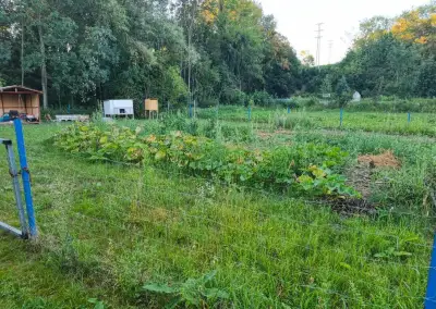 Pronajmu zahrádku k rekreaci