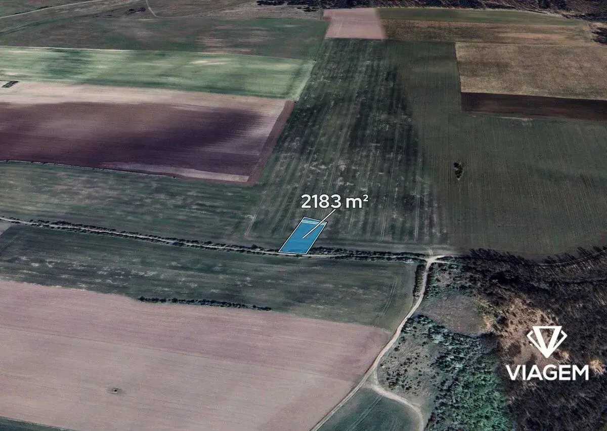 Pole 2 183 m², Podíl 33 % o výměře 728 m²