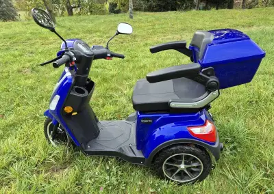 Elektrická tříkolka pro seniory ROLEKTRO E-Trike 25 V.2