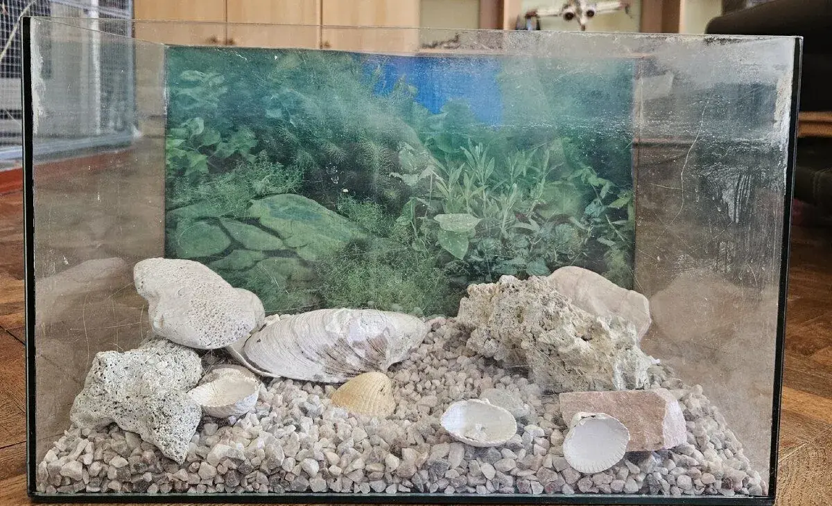 Akvárium 40x25 cm