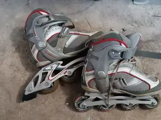 Fila Brusle vel 39