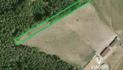 Pole 1 991 m², Podíl 75 % o výměře 1 493 m²