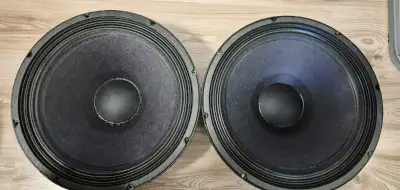 Reproduktory e v