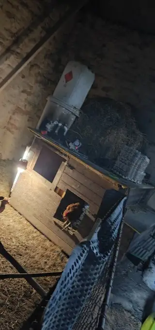 Kurník