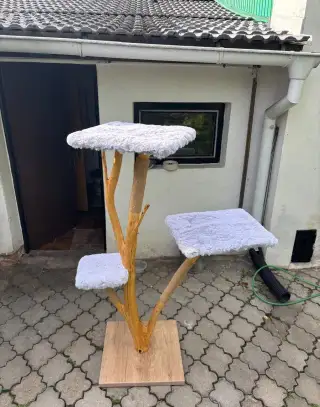 Kočičí strom