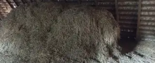 Sláma zdarma