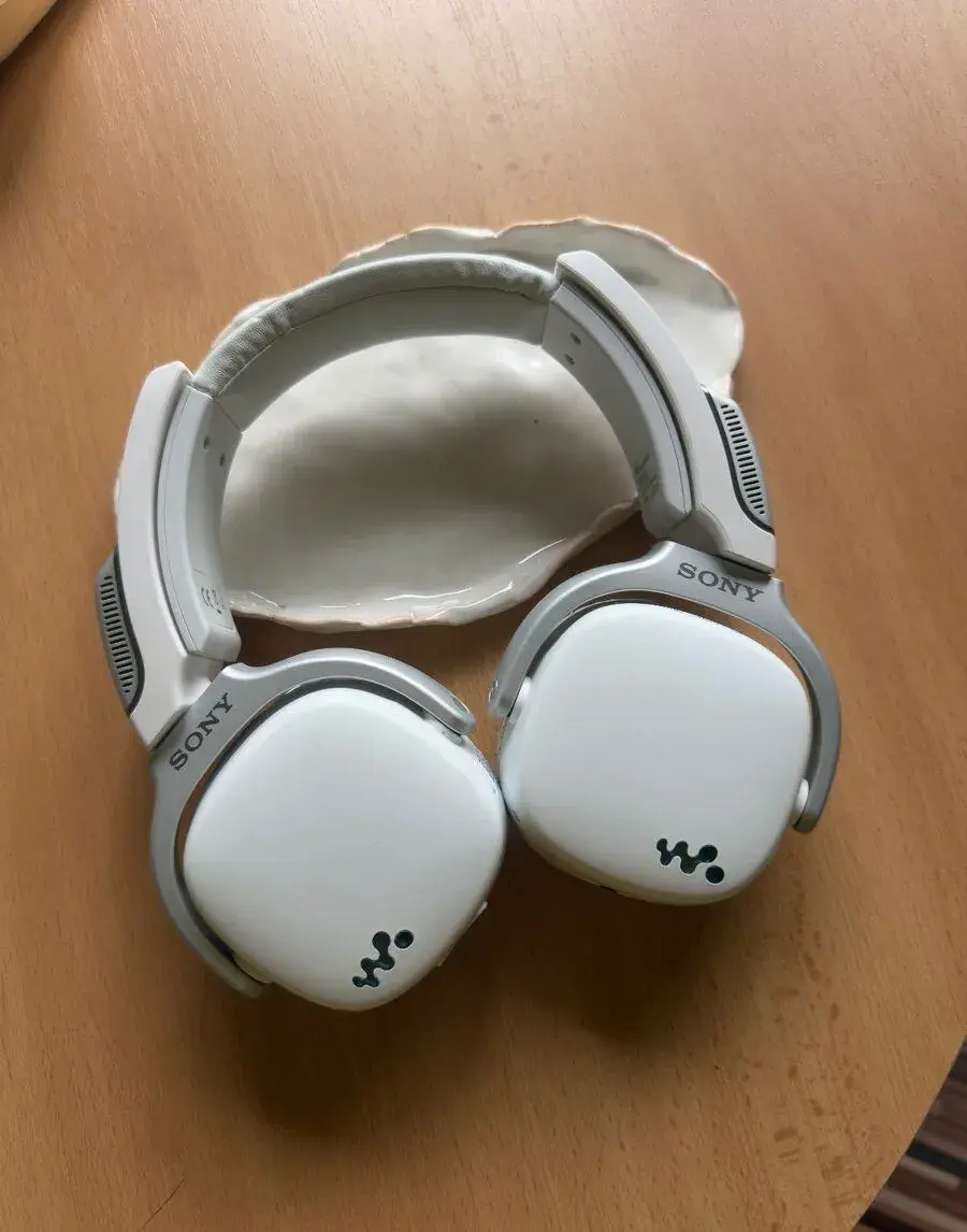 Sony Walkman NWZ-WH303