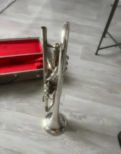 Trúbka Lignatone