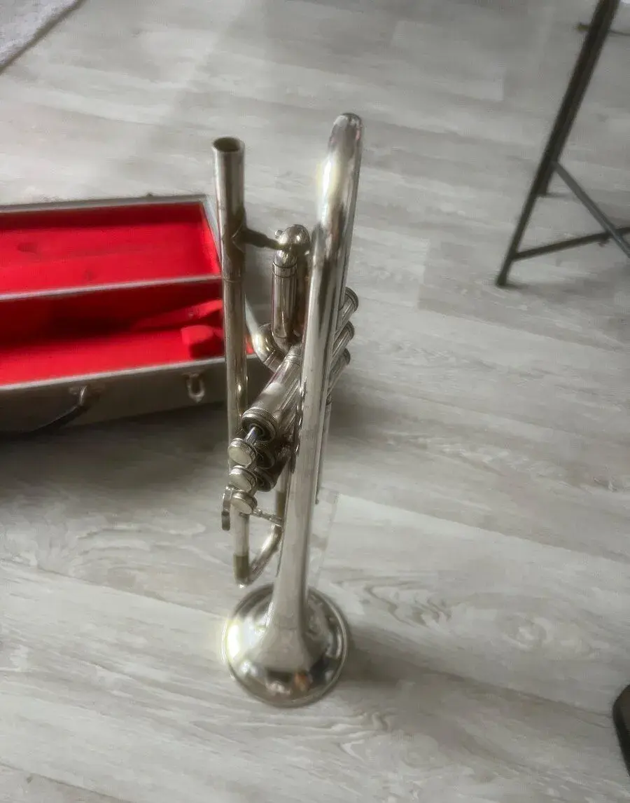 Trúbka Lignatone