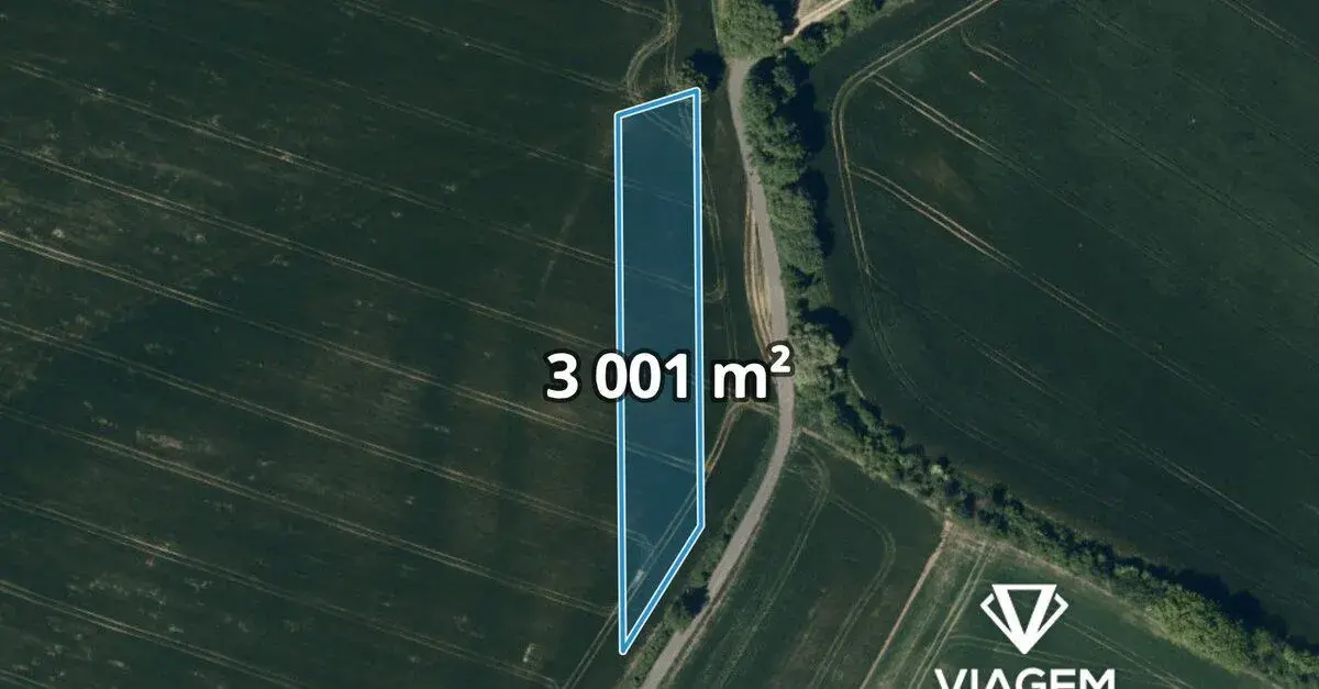 Pole 3 001 m², Podíl 50 % o výměře 1 501 m²