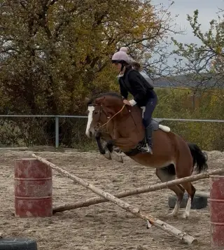 Klisna pony 140cm - skvělý skokan
