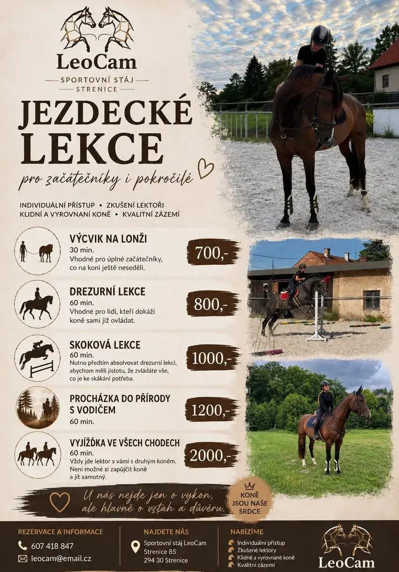 Jízda na koni
