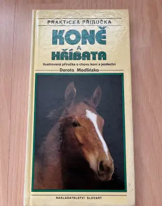 Koně a hříbata