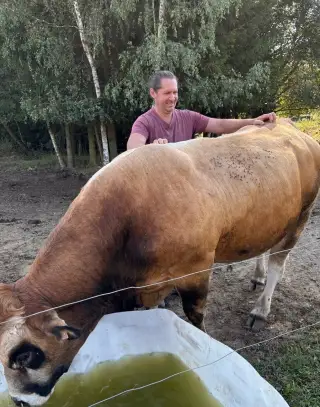 Plemenný býk Parthenaise 86b.