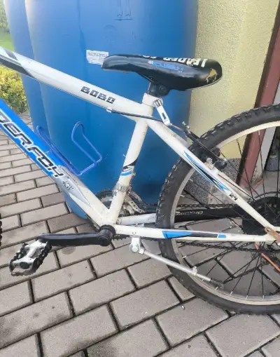 Chlapecké kolo