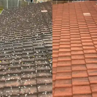 Čištění střech po celé Čr