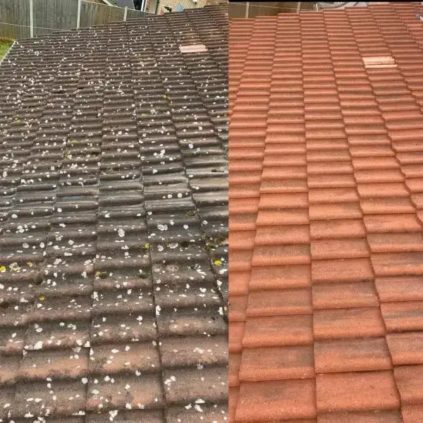 Čištění střech po celé Čr