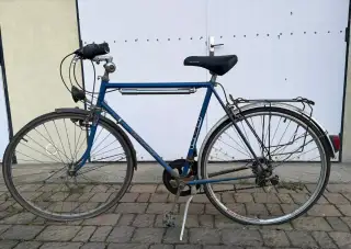 Pánské kolo Favorit