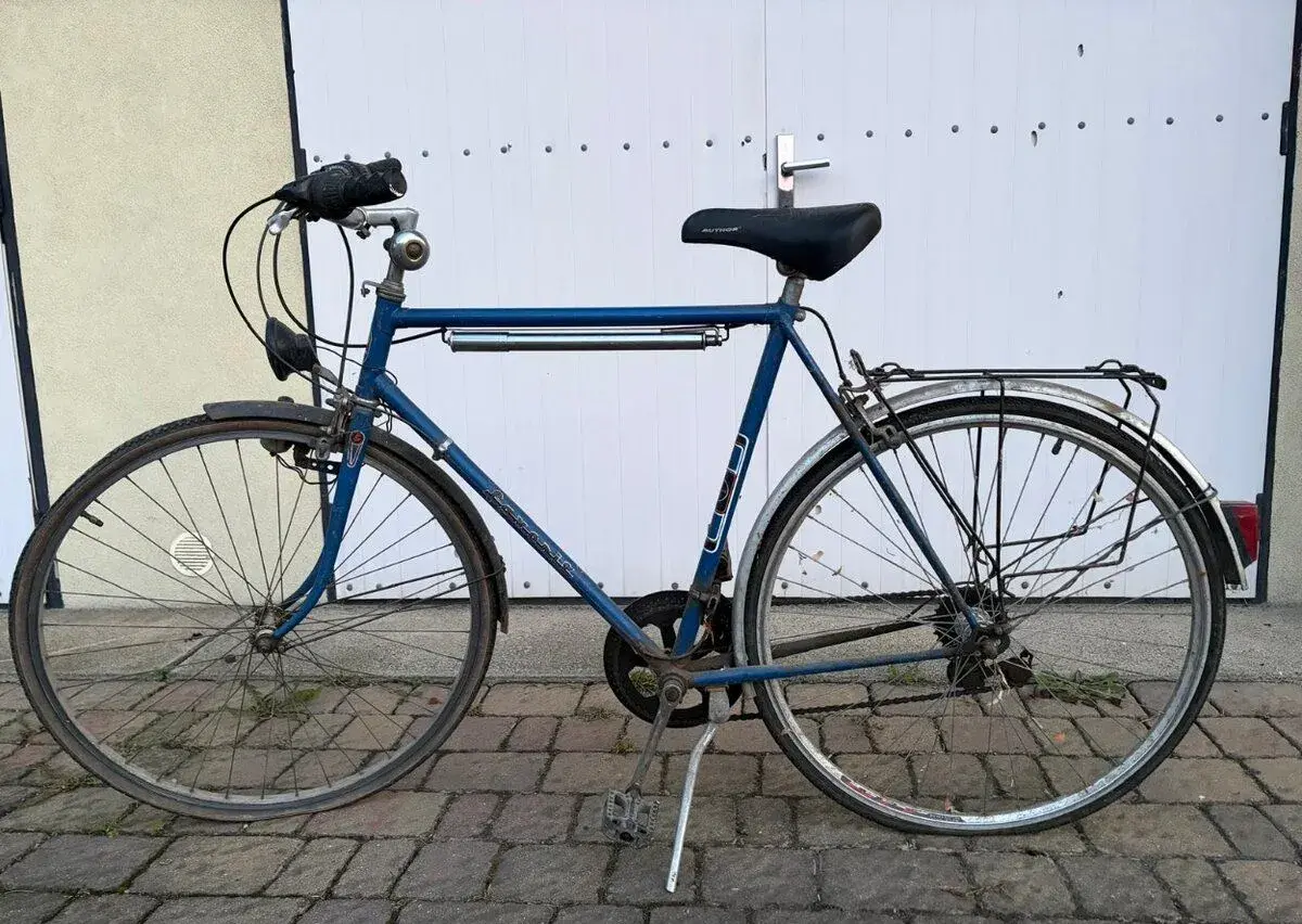 Pánské kolo Favorit
