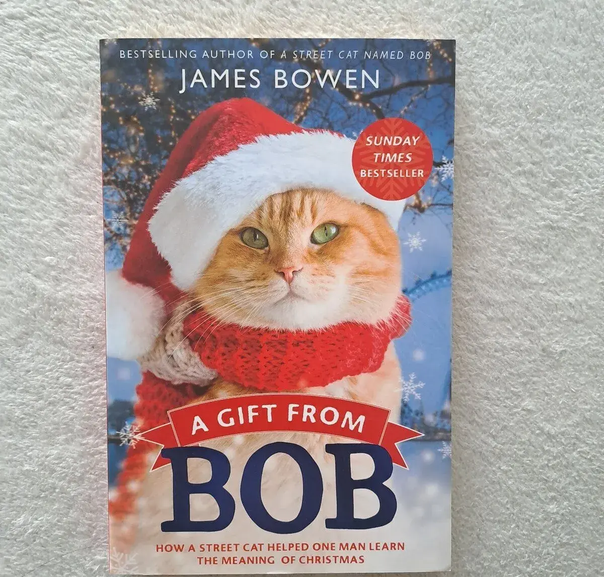 A gift from Bob - James Bowen - EN