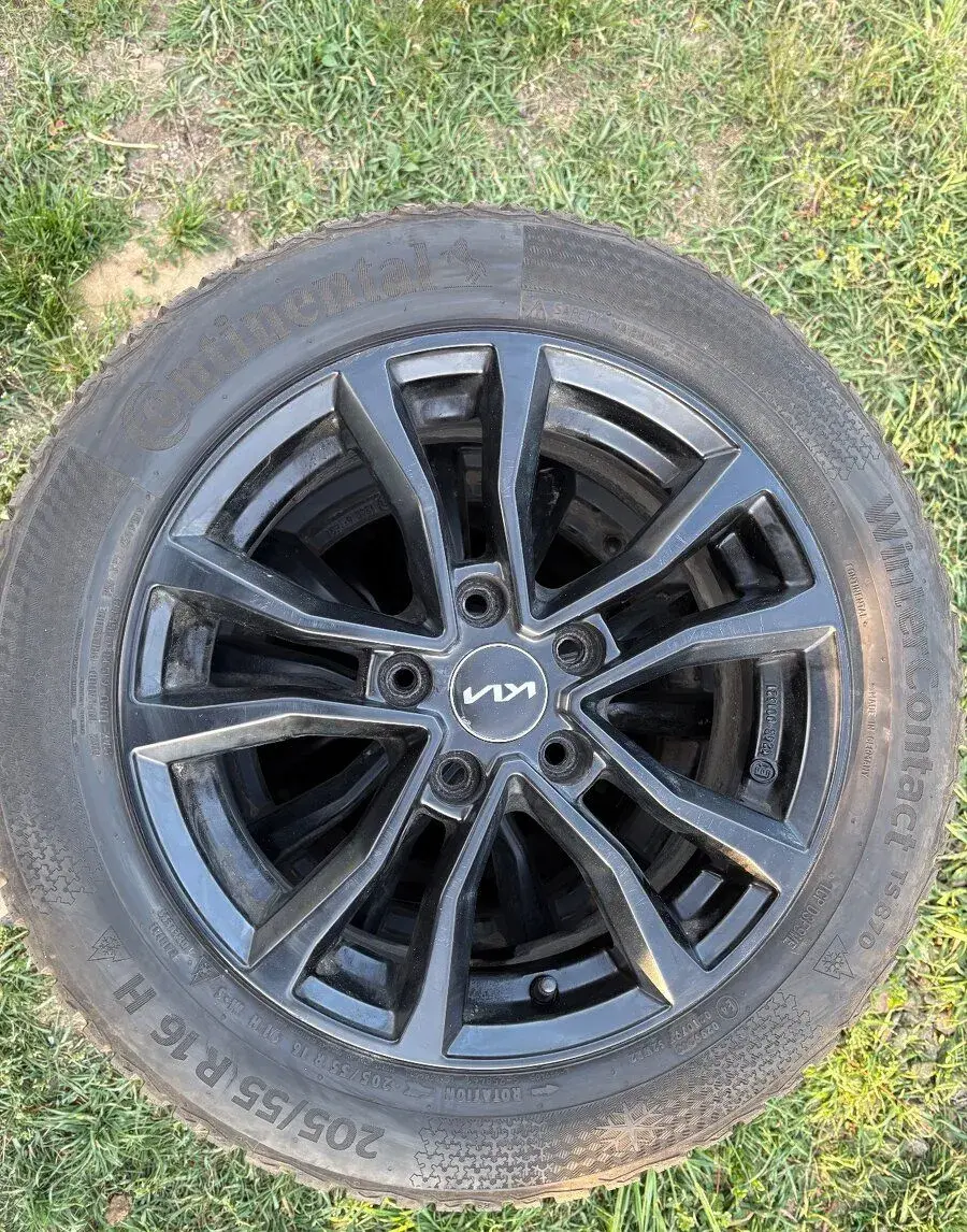 Kia – 2024