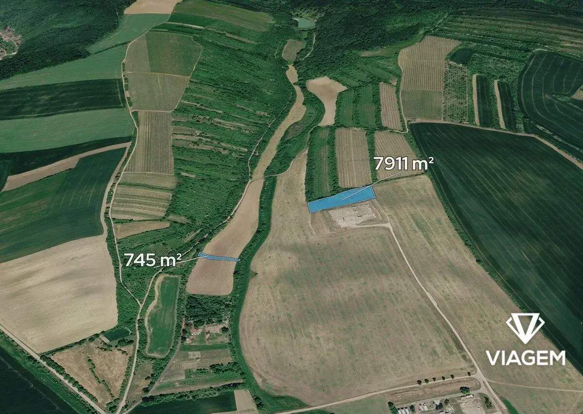 Pole 8 656 m², Podíl 8 % o výměře 721 m²