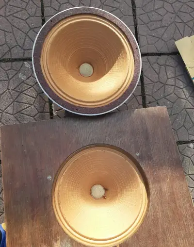 38cm reproduktory