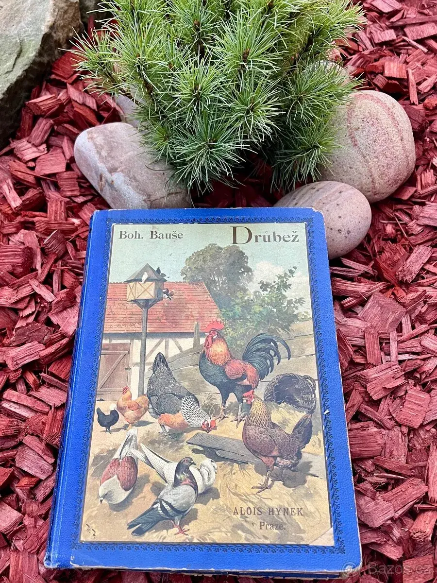 Bohumil Bauše Drůbež vydavatelství Alois Hynek 1899
