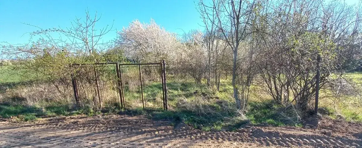 Zahrada 1019 m2, Kostelec na Hané
