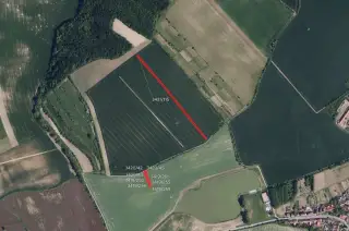 Zemědělská půda, prodej, Klobouky u Brna, Břeclav