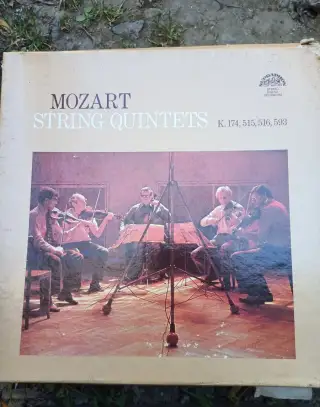 Wolfgang Amadeus Mozart-String Quintets K. 174, 515, 516