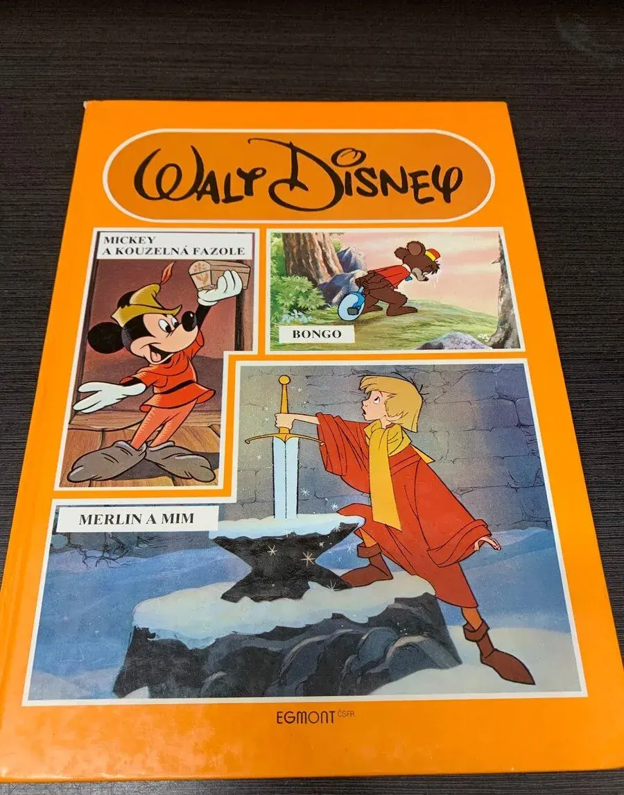 Kniha Walt Disney