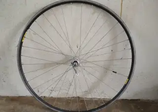 Ráfek značky Delfi velikost 28"