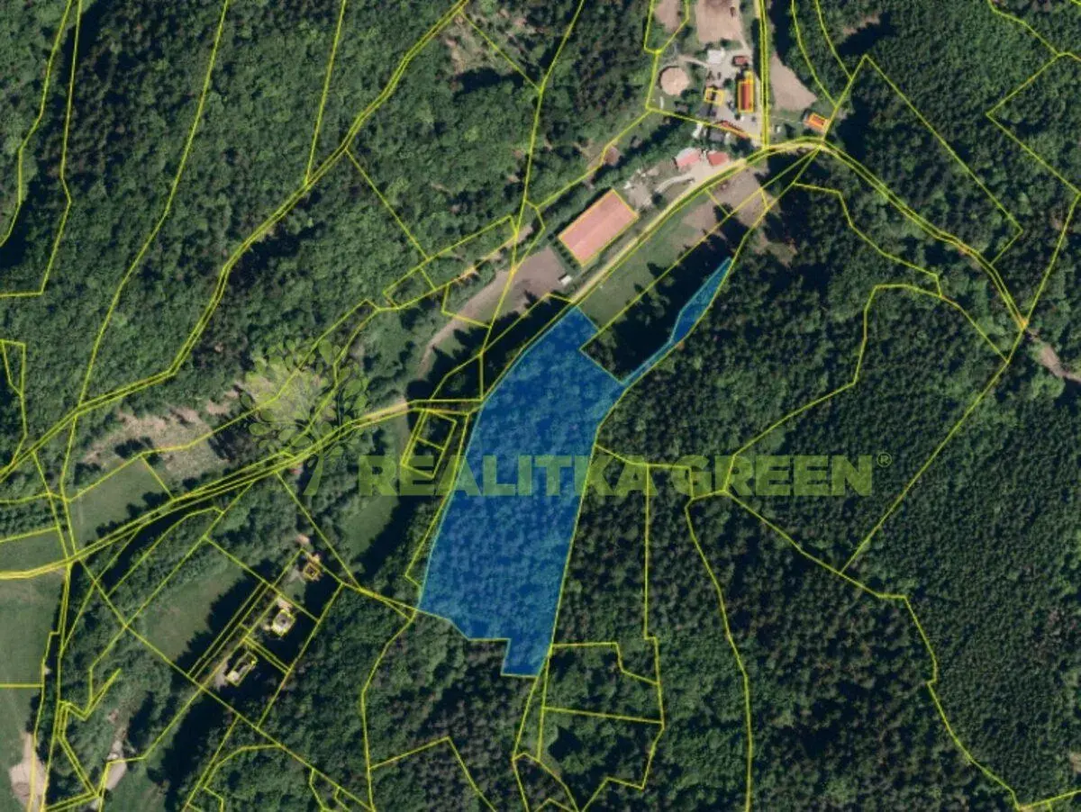 Prodej lesního pozemku k.ú. Všemina, okr. Zlín, CP 17966 m2