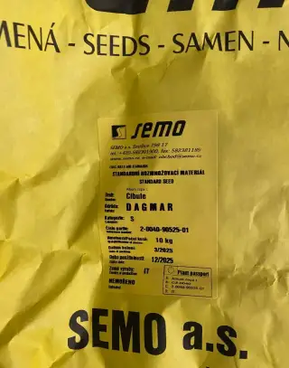 Semena cibule - SEMO