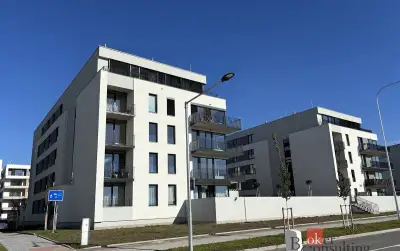 Prodej, byty/2+kk, 55 m2, Železná 3068/16, Jižní Předměstí,