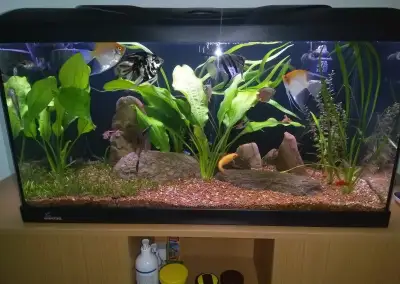 Akvarijní komplet