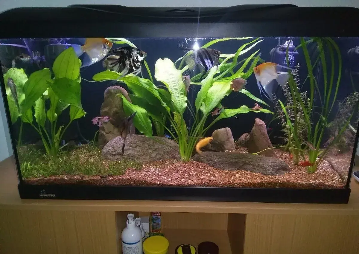 Akvarijní komplet