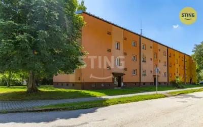 Prodej bytové jednotky 2+1 s francouzským balkónem, , 135481