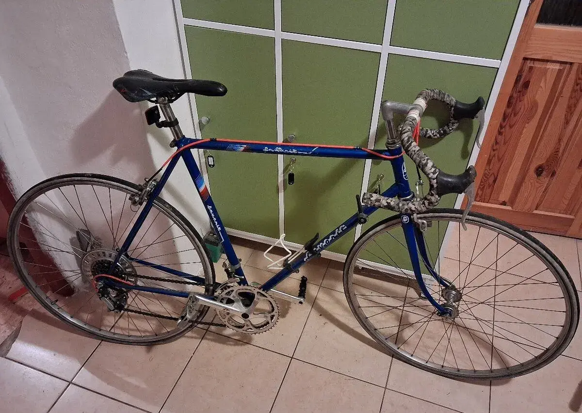 Favorit f 12 ?